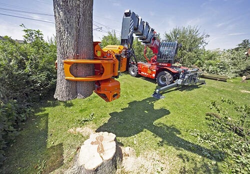 Arborist Equipment